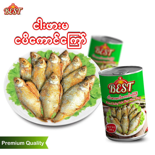Best ငါးဖမ်းမငပိကောင်ကြော်
