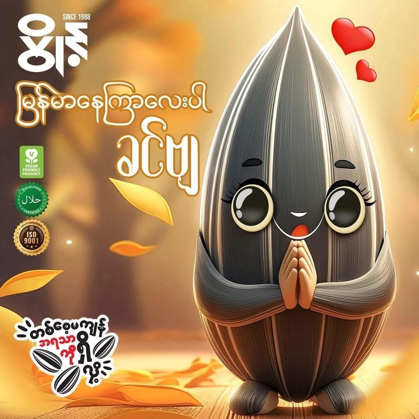 Point နေကြာစေ့